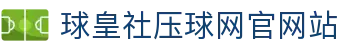球皇社比分数据站_足球即时比分查询与联赛赛果统计分析
